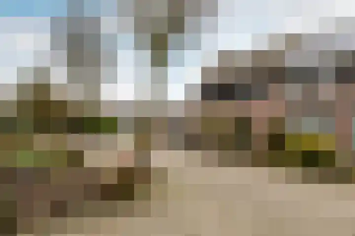 de Helleweikes 14 Oirschot thumbnail 37