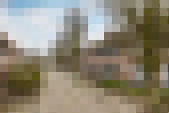 de Helleweikes 14 Oirschot thumbnail 39
