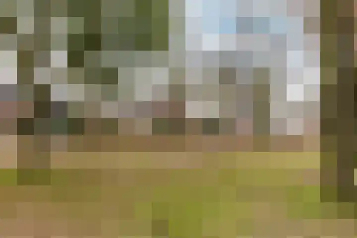 de Helleweikes 14 Oirschot thumbnail 41