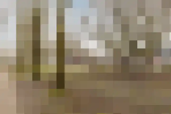de Helleweikes 14 Oirschot thumbnail 42
