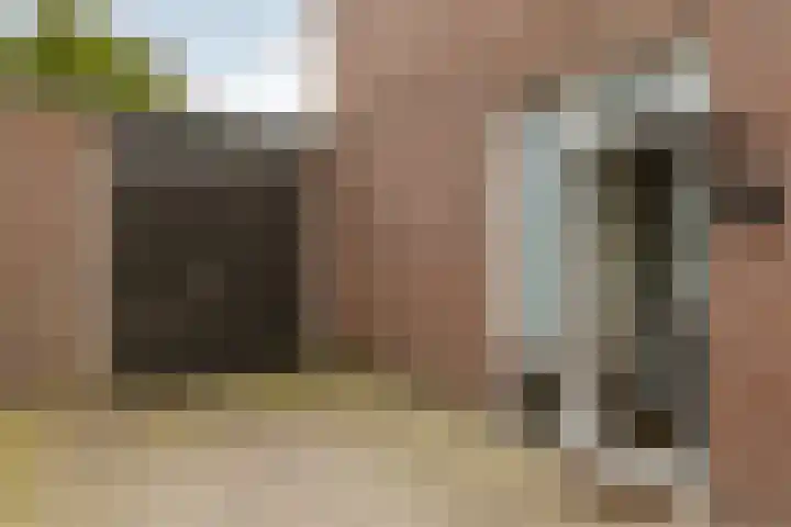 de Helleweikes 14 Oirschot thumbnail 6