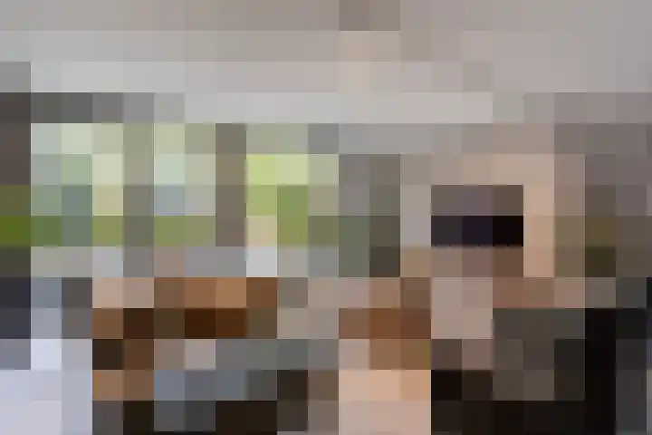 de Helleweikes 14 Oirschot thumbnail 9