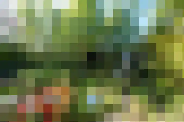 De Helling 14 Vinkeveen thumbnail 27