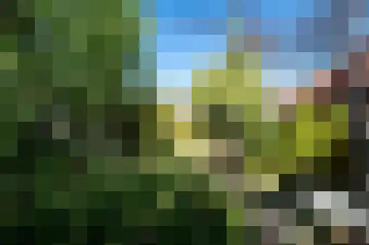 De Helling 14 Vinkeveen thumbnail 32