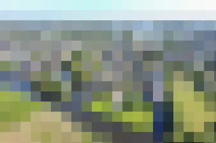 De Helling 14 Vinkeveen thumbnail 33