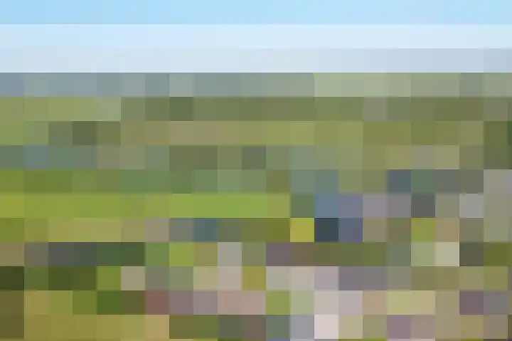 De Helling 14 Vinkeveen thumbnail 35