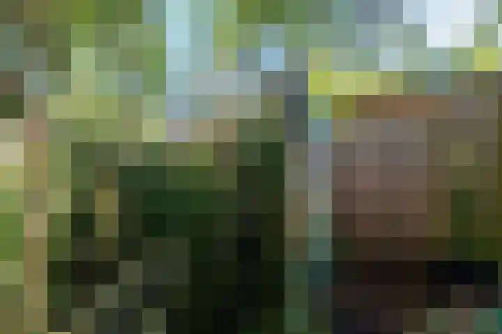 De Helling 14 Vinkeveen thumbnail 5