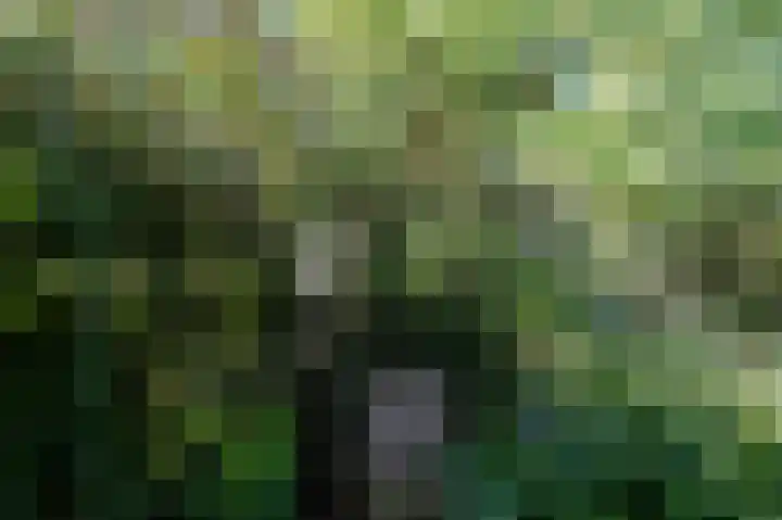 De Helling 14 Vinkeveen thumbnail 6