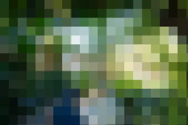De Helling 14 Vinkeveen thumbnail 7