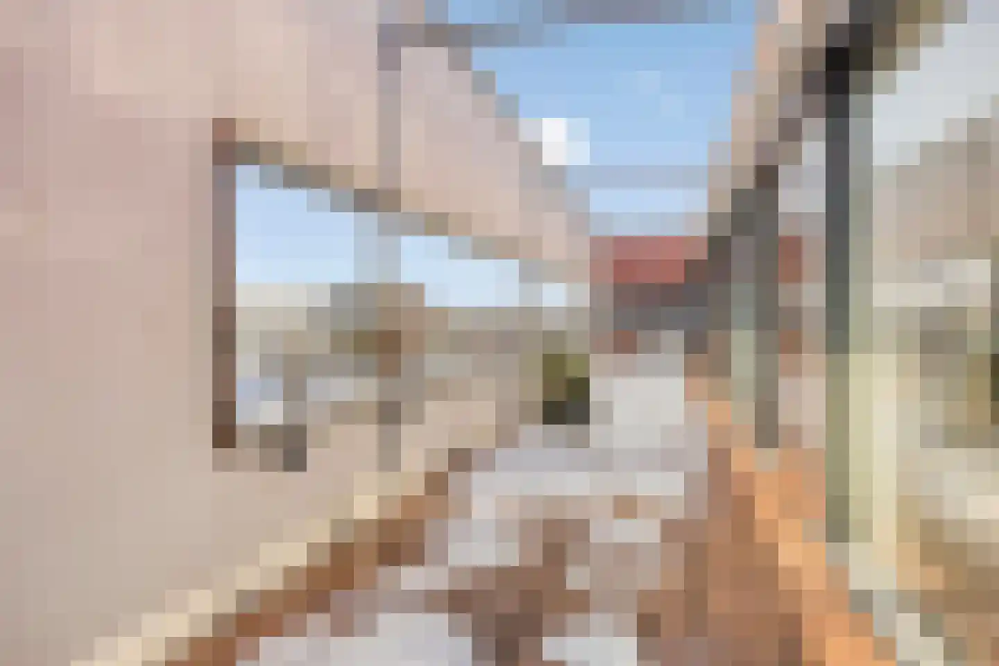 De Helling 144 Dronten thumbnail 33