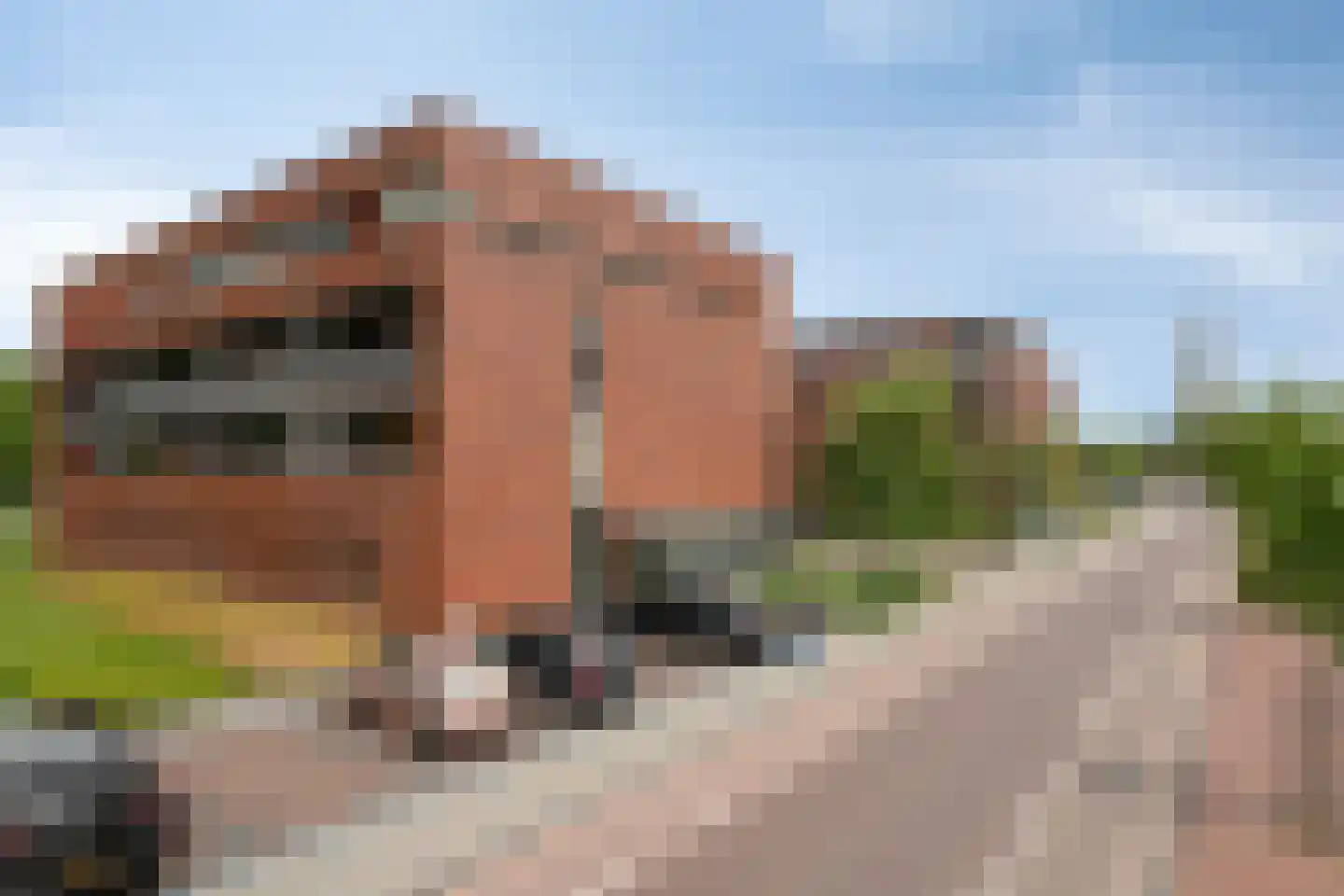 De Helling 144 Dronten thumbnail 51