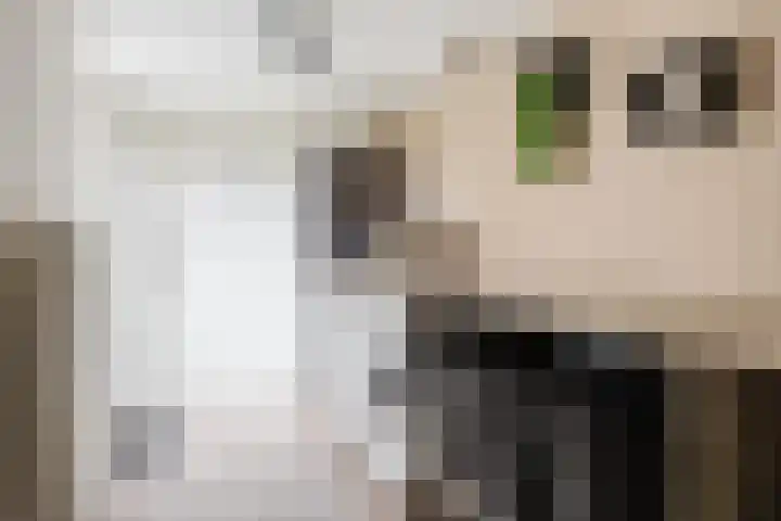 De Helling 25 Gorredijk thumbnail 17