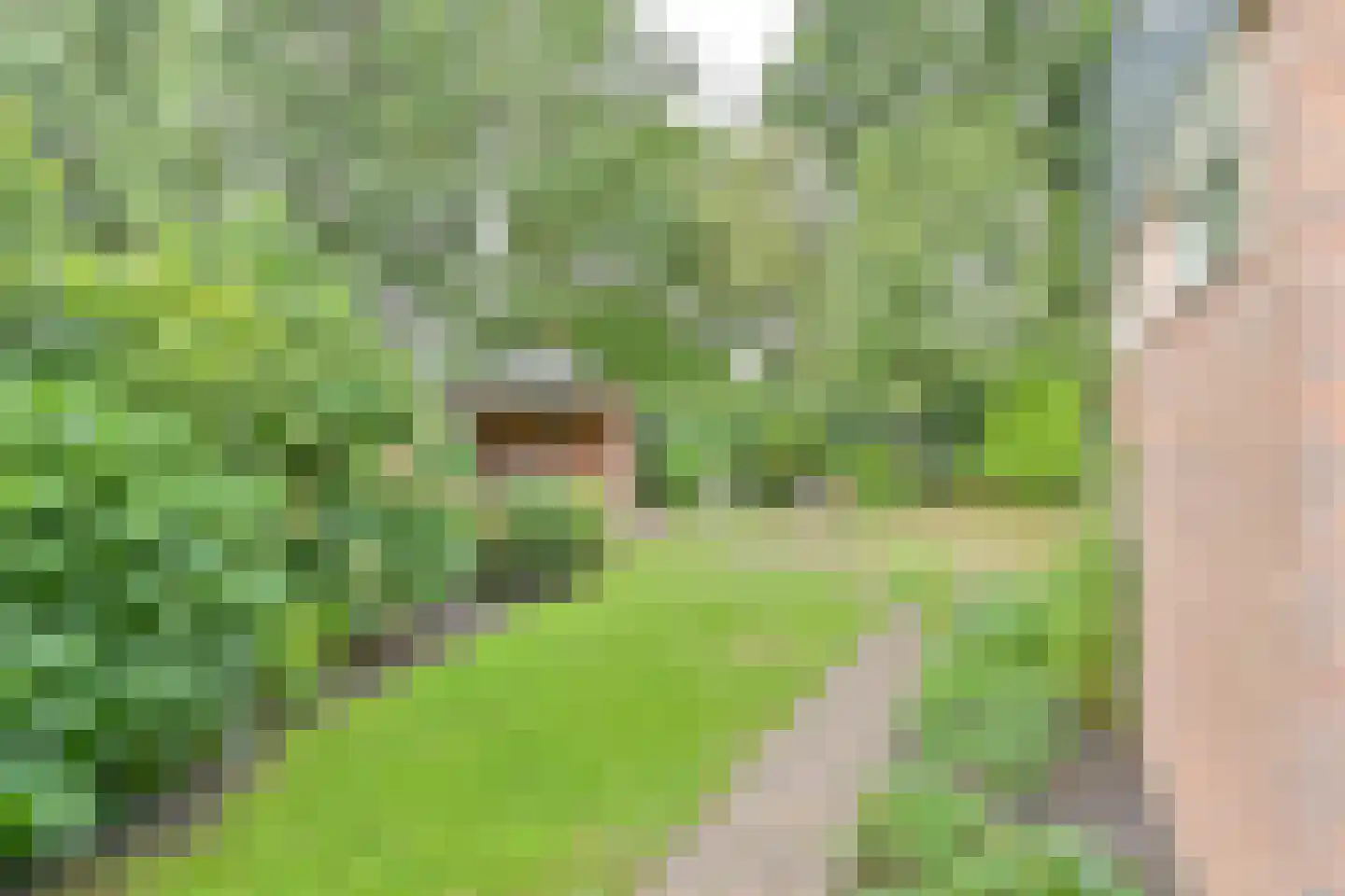 De Helling 3 Hoogeveen thumbnail 49