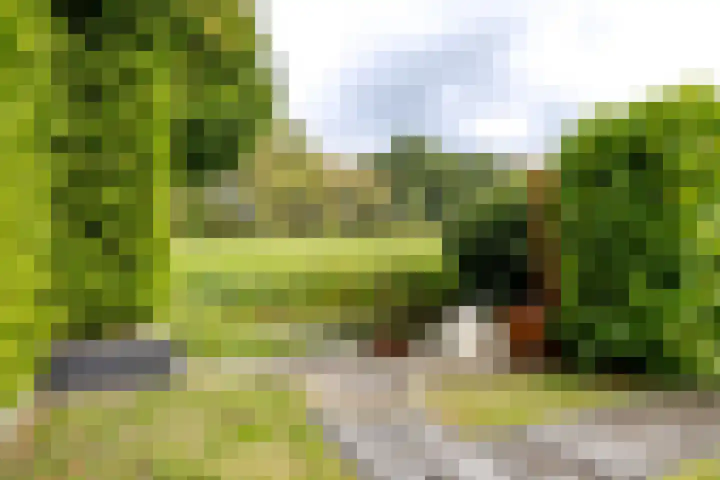 De Helling 43 Gorredijk thumbnail 17