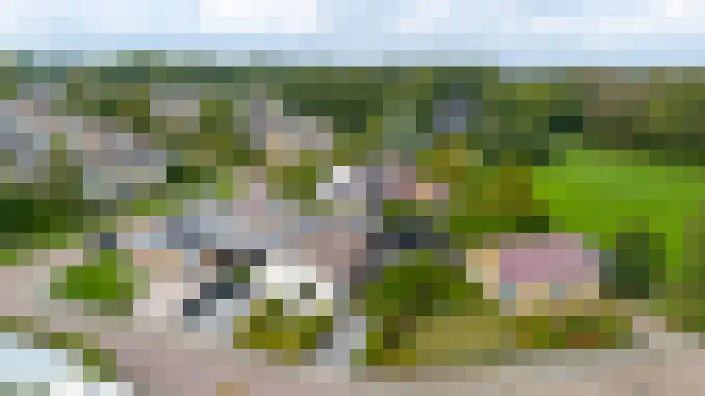 De Helling 43 Gorredijk thumbnail 27