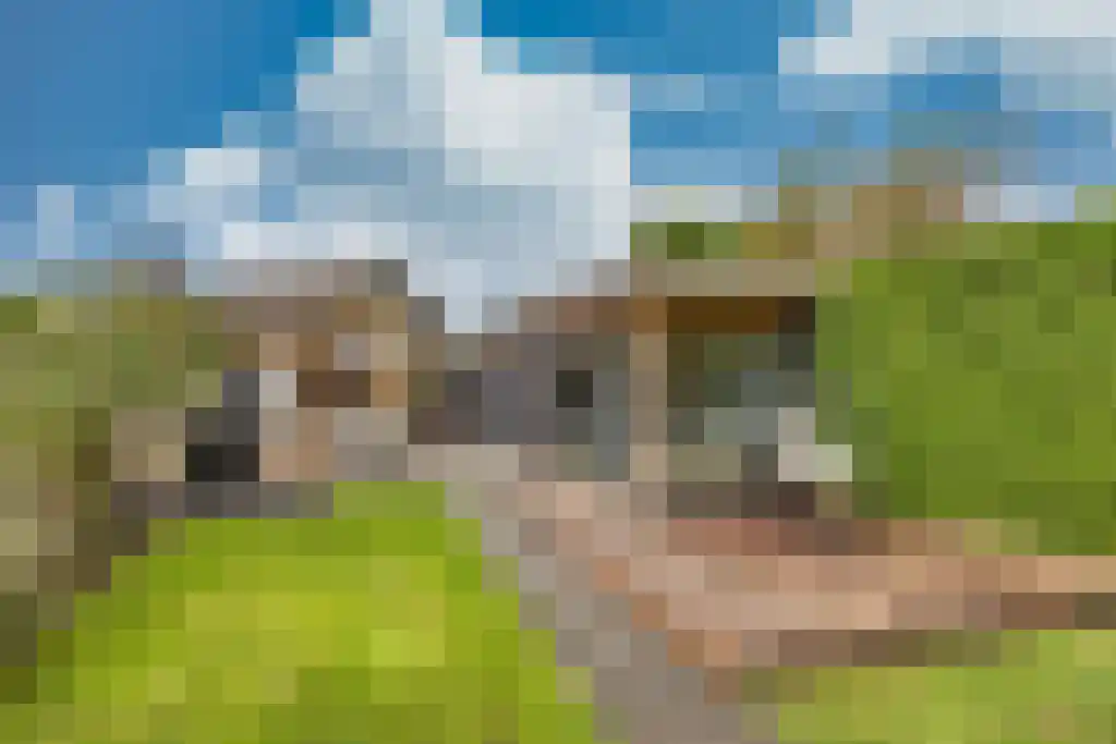 De Helling 43 Gorredijk thumbnail 36