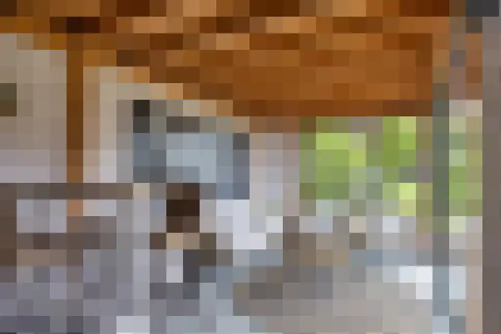 De Helling 43 Gorredijk thumbnail 37