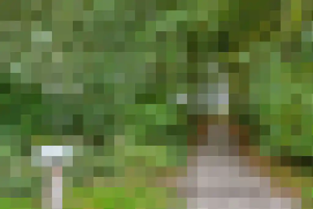 De Helling 43 Gorredijk thumbnail 57