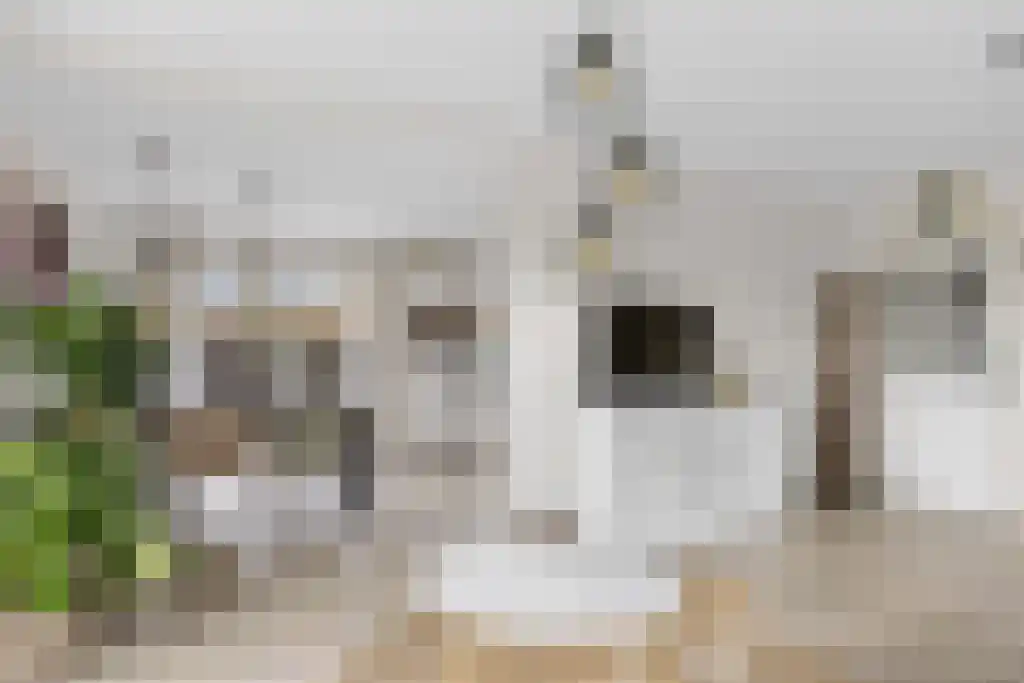 De Helling 43 Gorredijk thumbnail 8