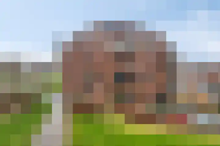 De Helling 48 Dronten thumbnail 34