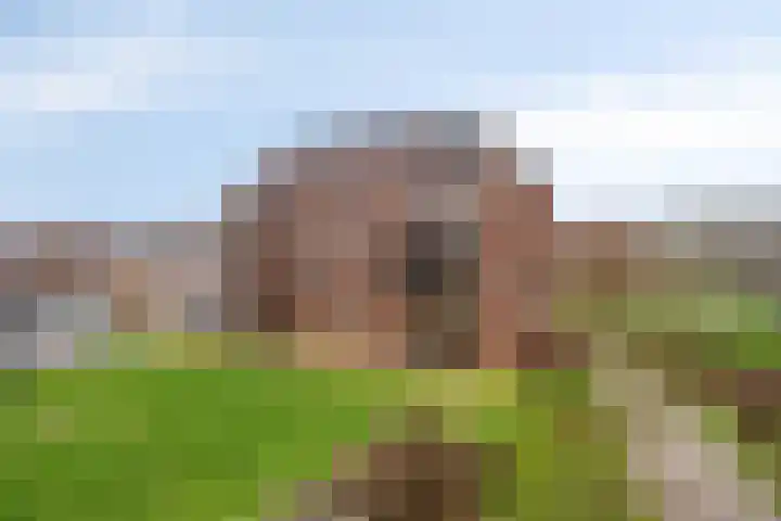 De Helling 48 Dronten thumbnail 36