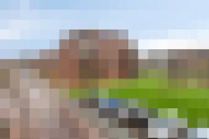 De Helling 48 Dronten thumbnail 37
