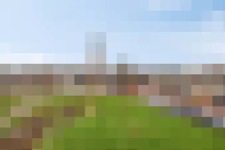 De Helling 48 Dronten thumbnail 38