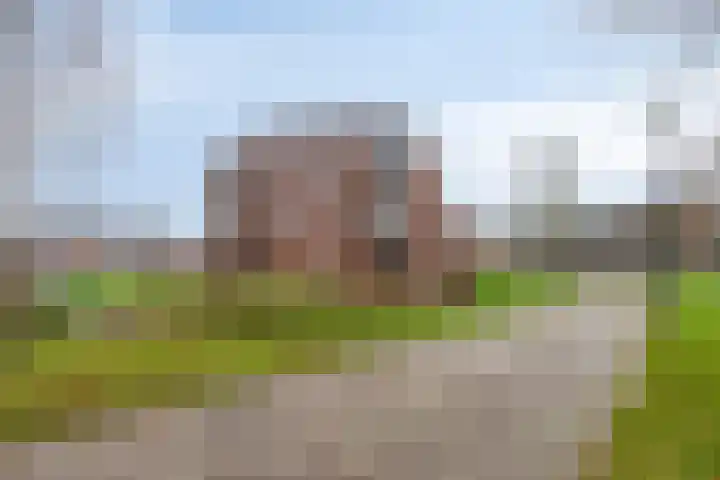 De Helling 48 Dronten thumbnail 39