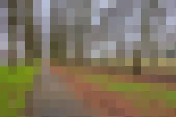 De Helling 48 Dronten thumbnail 40