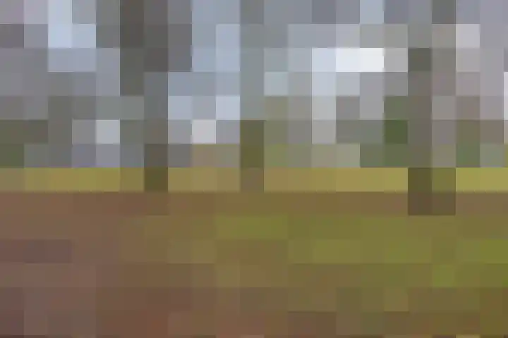 De Helling 48 Dronten thumbnail 41
