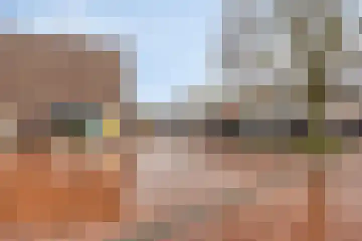 De Helling 48 Dronten thumbnail 42