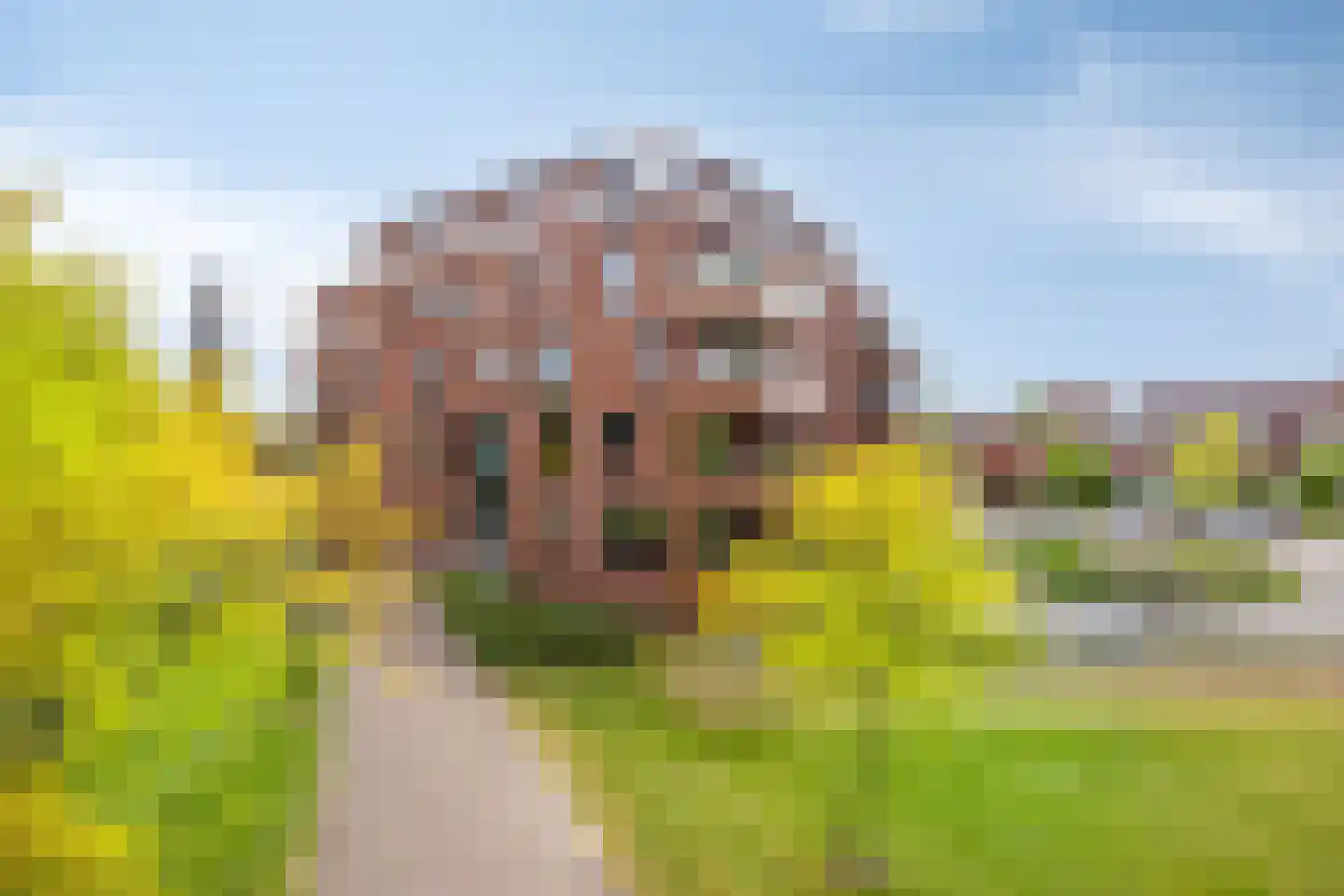 De Helling 56 Dronten thumbnail 37