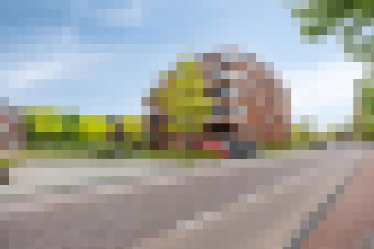 De Helling 56 Dronten thumbnail 42