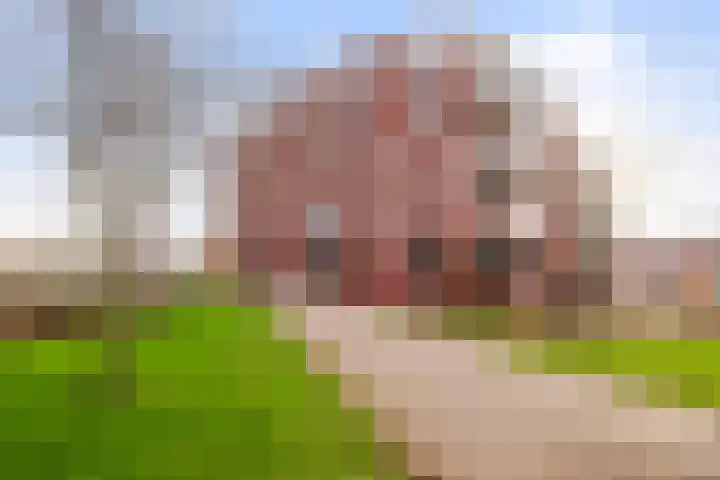 De Helling 58 Dronten thumbnail 35