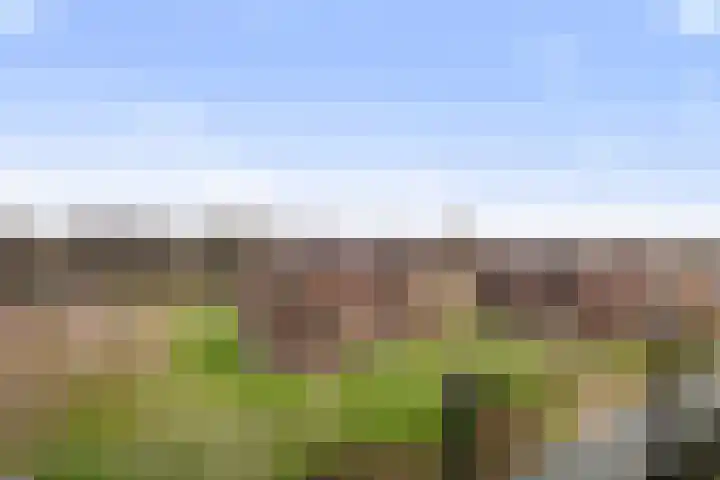De Helling 58 Dronten thumbnail 6