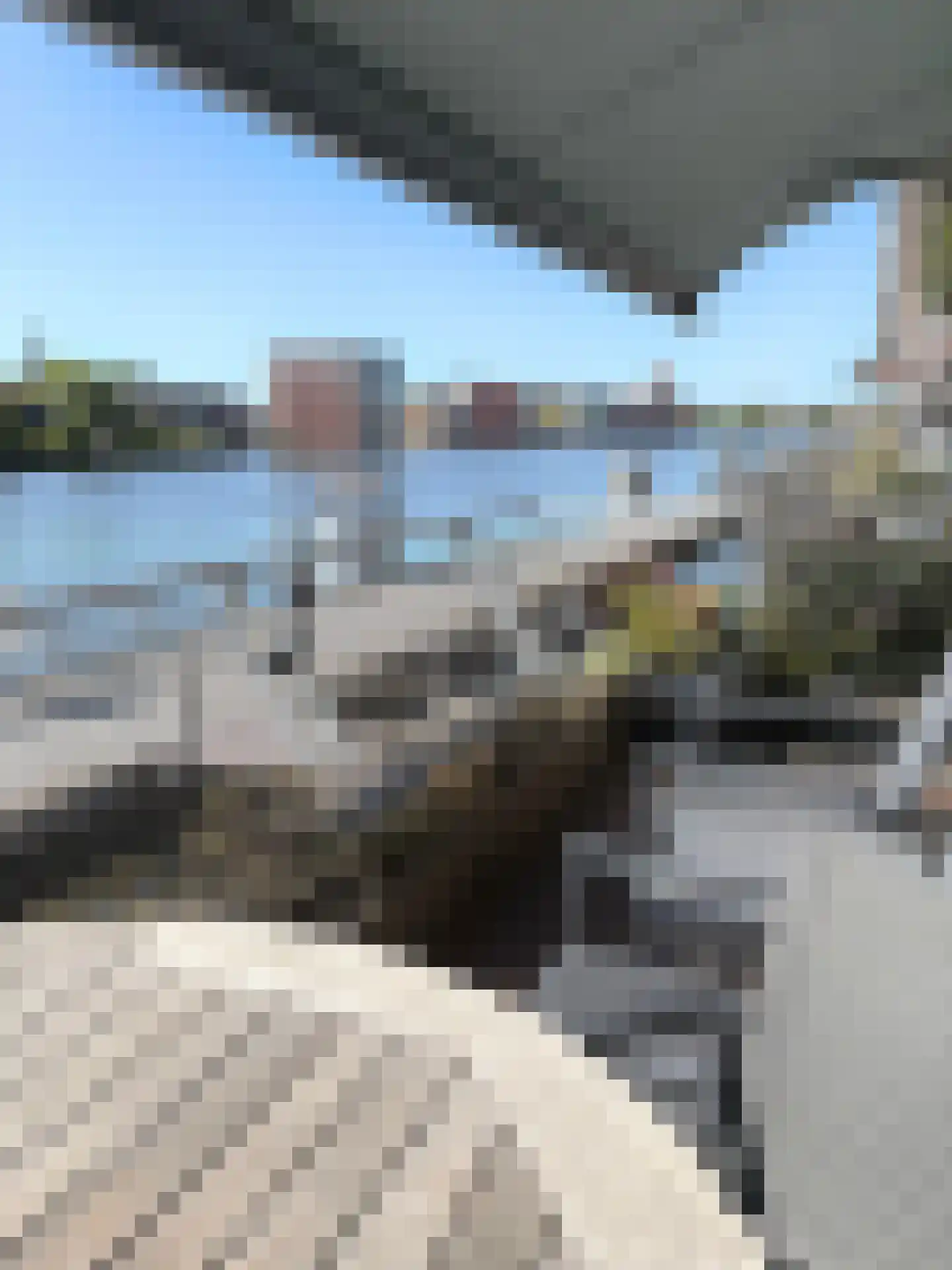 De Helling 60 Zaandam thumbnail 39