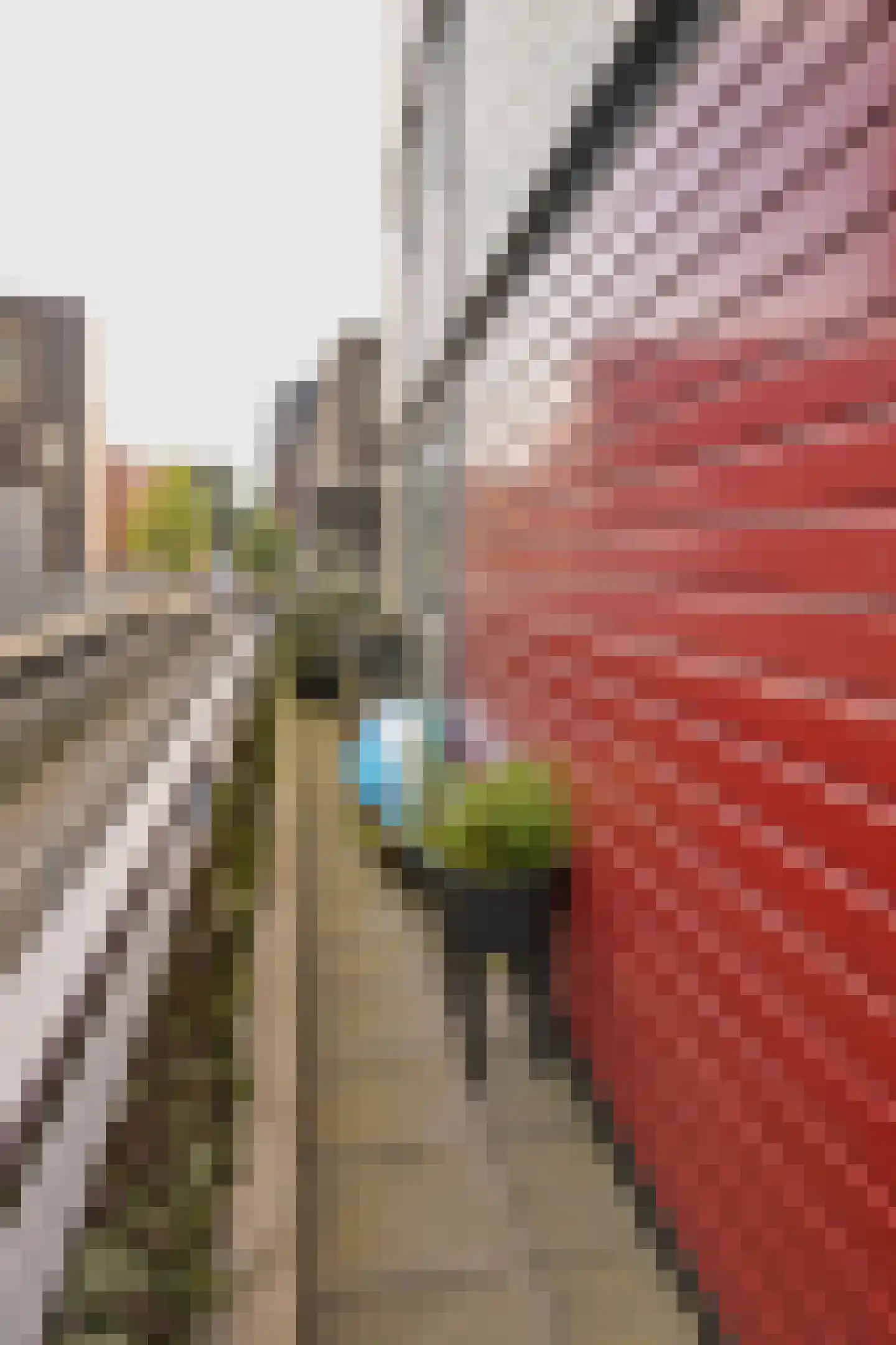 De Helling 60 Zaandam thumbnail 42