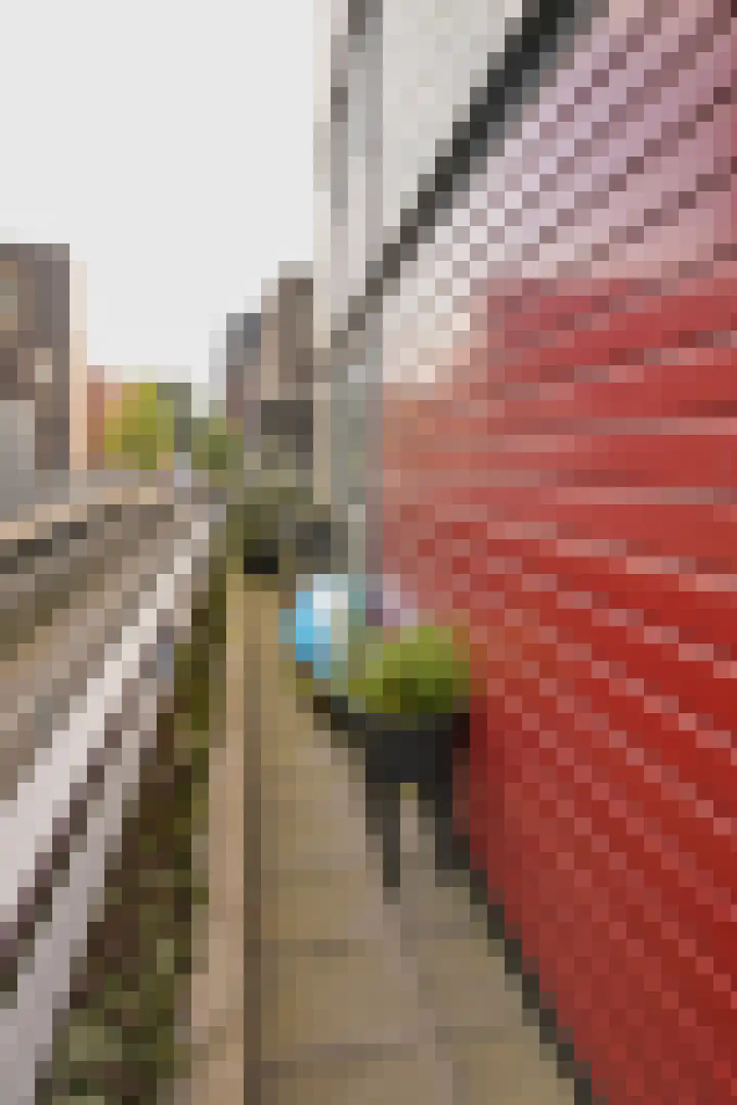 De Helling 60 Zaandam thumbnail 43