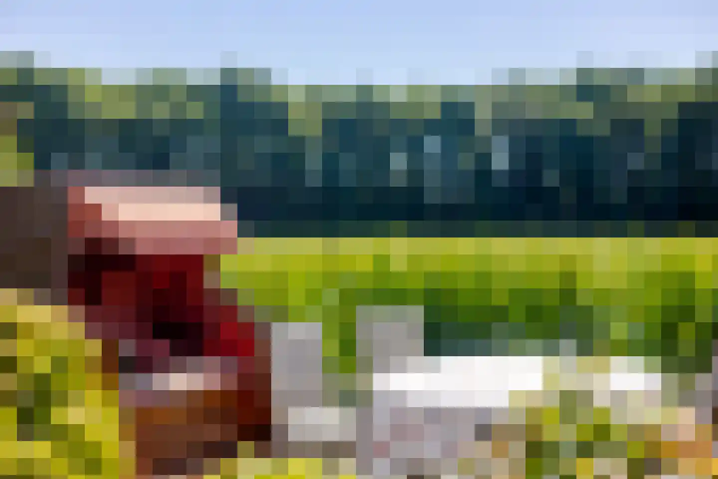 De Helling 69 Gorredijk thumbnail 11