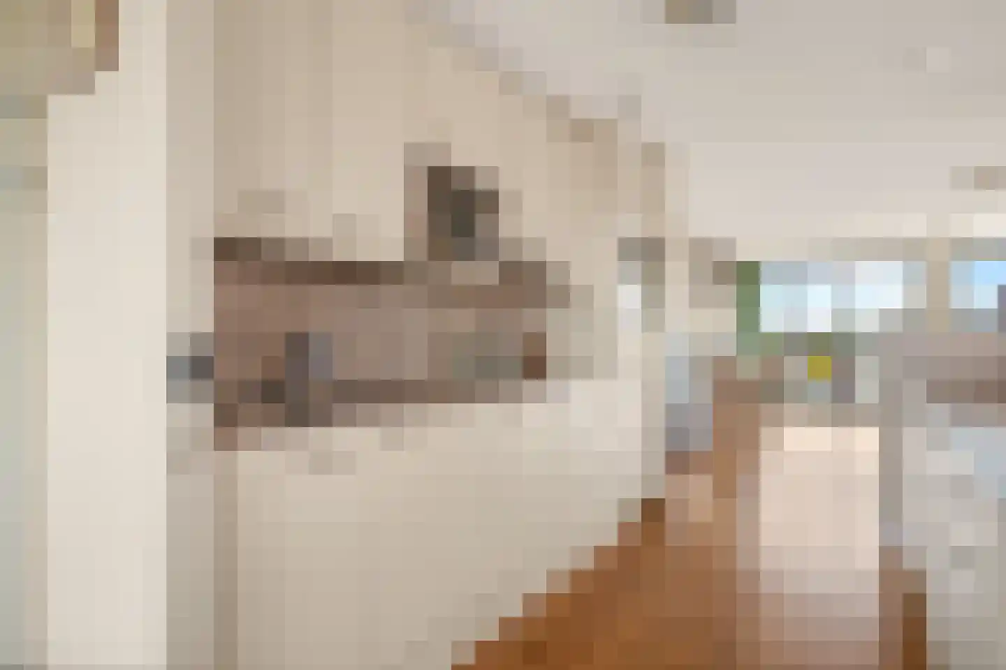 De Helling 78 Zaandam thumbnail 8