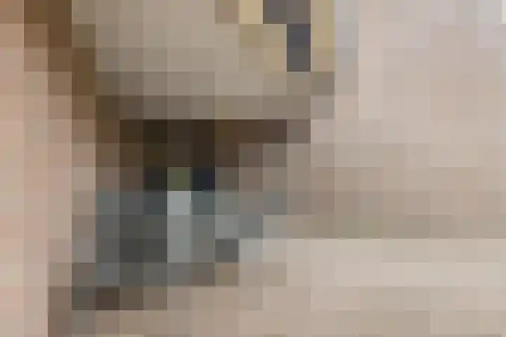 De Helling 8 Hoogeveen thumbnail 4