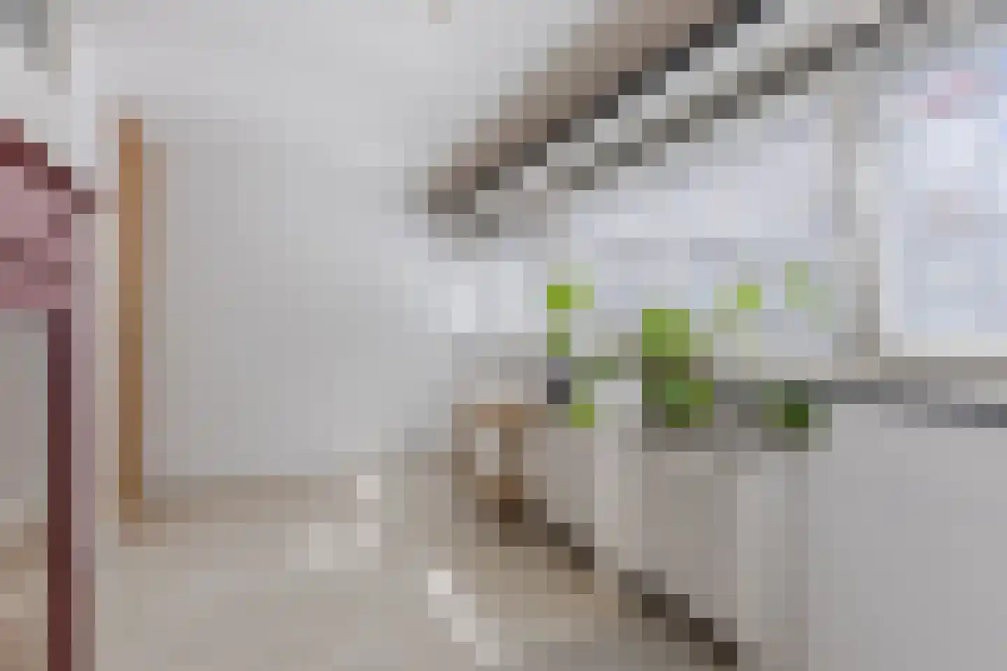 De Helling 8 Zaandam thumbnail 28