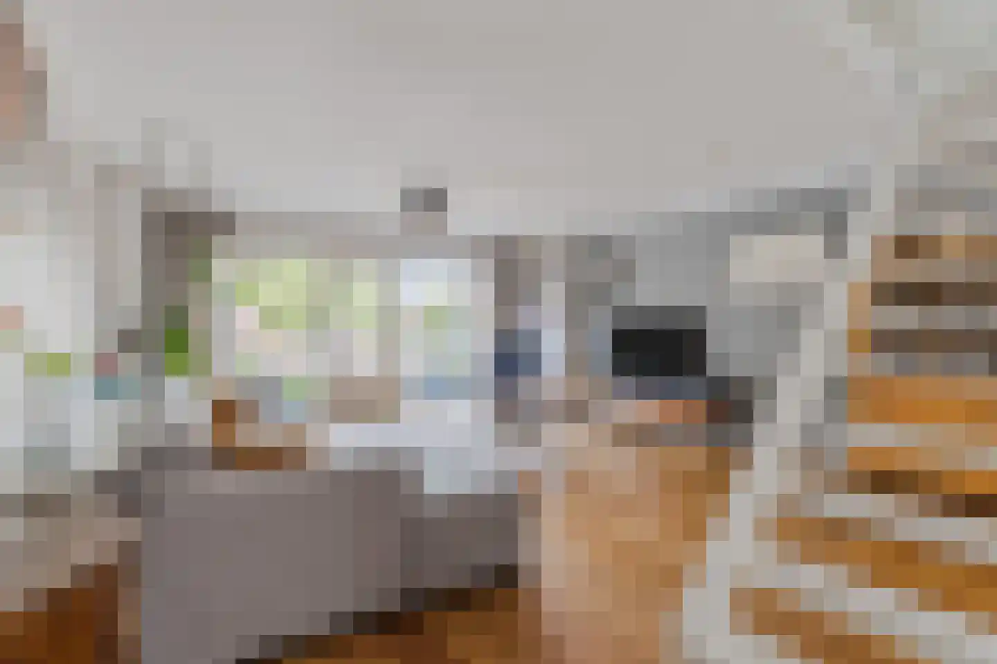 De Helling 8 Zaandam thumbnail 8