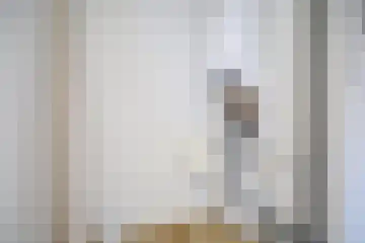 De Helling 9 A Dronten thumbnail 24