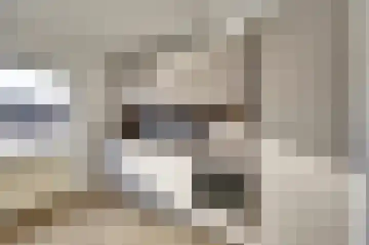 De Helling 9 C Dronten foto 3