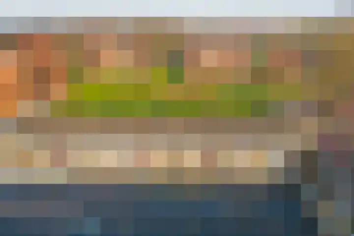 De Helling 9 C Dronten thumbnail 35