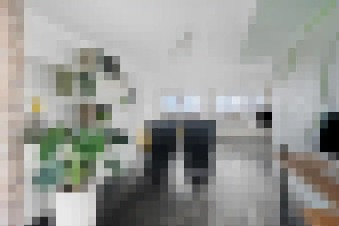 De Helling 91 Zaandam thumbnail 11