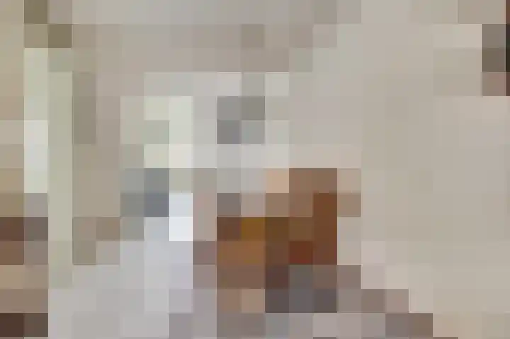 De Helm 3 Swifterbant thumbnail 11