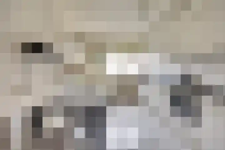 De Helm 3 Swifterbant thumbnail 14