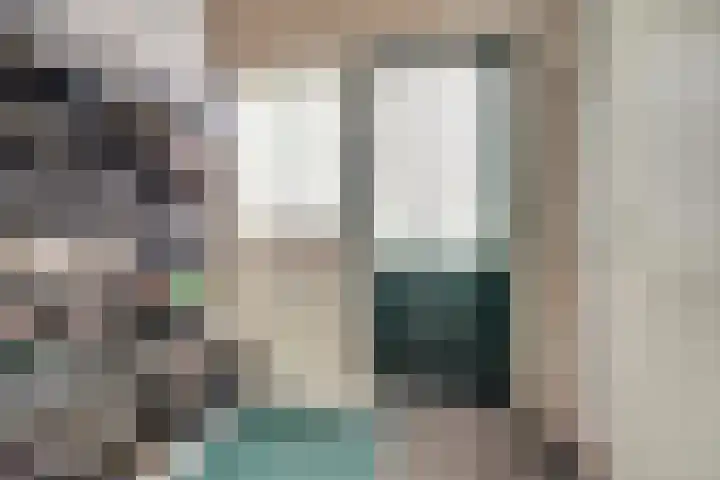 De Helm 3 Swifterbant thumbnail 16